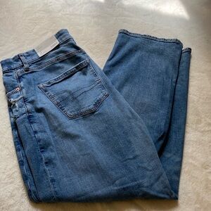 AE Curvy Distressed Jeans